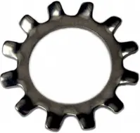 External Tooth Lock Washer, Plain (Inch)