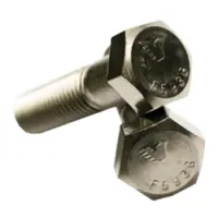 Hex Cap Screw, Stainless Steel 316 (Inch)