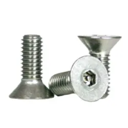 Flat Socket Cap Tamper Resistant Stainless Steel 18 8 Inch