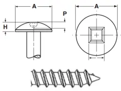 Stainless 18 8 Self Tapping Screw Type A, Square Truss Head (Inch)