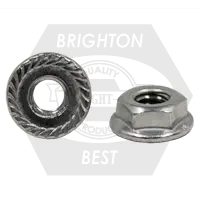 Hex Flange Nut, Serrated, Stainless 18 8 (Inch)