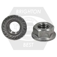 Hex Flange Nut, Serrated, Stainless 316 (Inch)