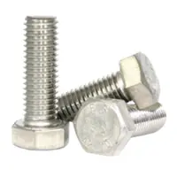 Stainless Hex Cap Screws