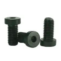 Low Head Socket Cap din 7984 10.9 Thermal Black Oxide Alloy Metric 