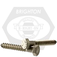 1/4\"-10x2\" Stainless Steel 316 Hex Lag Screw