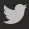 footer_social_twitter